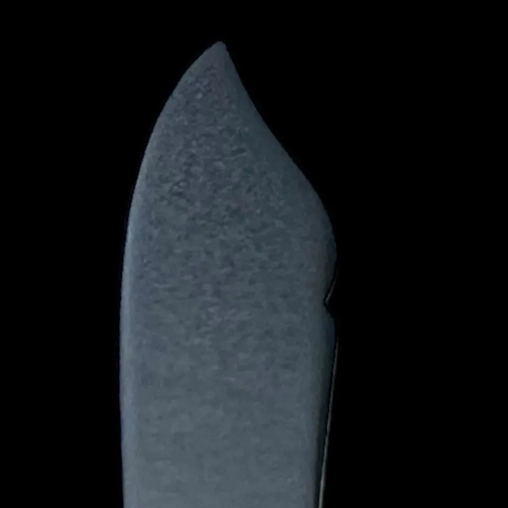 Gorham Stephanie‎ Frosted Master Butter Knife 7